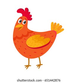 Funny cartoon red and orange chicken, hen standing and smiling happily, cartoon vector illustration isolated on white background. Cute and funny colorful chicken, fire rooster