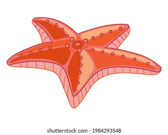 Funny cartoon red starfish. Sea creatures. Cartoon marine animal character. Vector illustration isolated on white background. For children apparel, print and design, poster, card, sticker, decor