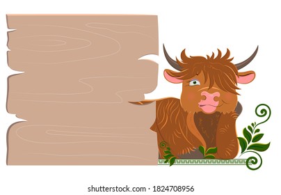 A funny cartoon Scottish long-haired bull lies behind a wooden signboard. Vector wooden board for lettering and design