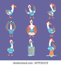 Funny cartoon seagull showing different actions and emotions set, cute comic bird characters