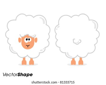 Funny cartoon sheep from front and behind, vector illustration