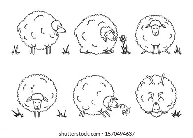 Funny cartoon sheep set. Farm animals on white background. Cute lambs. Vector illustration.