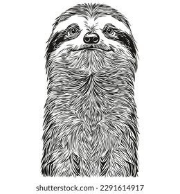 Funny cartoon Sloth, line art illustration ink sketch Sloths
