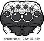 Funny cartoon spider face with large expressive eyes and many smaller eyes above