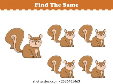 Funny cartoon squirrel. Find same pictures. Educational game for children. Cartoon vector illustration