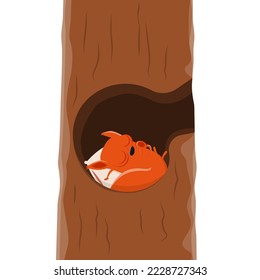 funny cartoon squirrel sleeping in a tree hole