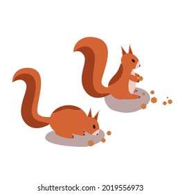 Funny cartoon squirrel.Two vector squirrels.Flat squirrels eat nuts.Vector illustration isolated on white background.Animal character design.