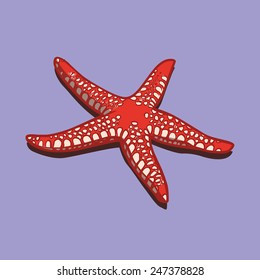 Funny cartoon starfish. Vector illustration