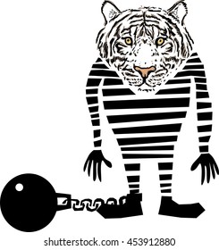 Funny cartoon tiger in retro prisoner uniform and ball and chain