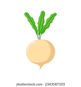 Funny cartoon turnip. Cute vegetable. Vector food illustration isolated on white background.