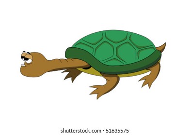 funny cartoon turtle