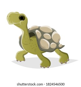 funny cartoon turtle vector illustration