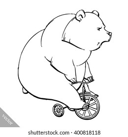 funny cartoon vector brown grizzly bear illustration
