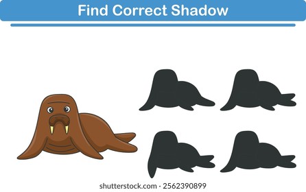 Funny cartoon walrus. find the correct shadow. Kids Education games. Cartoon vector illustration