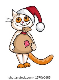 Funny cat