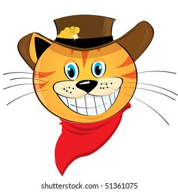 funny cat