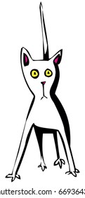 Funny cat