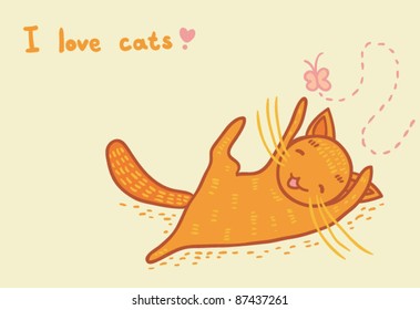 funny cat