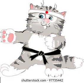 funny cat
