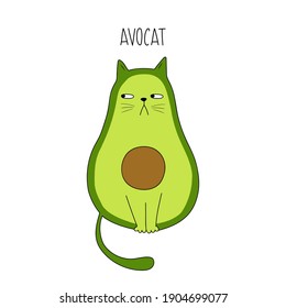 El aguacate del gato gracioso. Abogado. Ilustración vectorial. El aguacate de la caricatura. Bueno para carteles, camisetas, postales.