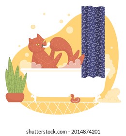 Funny Cat in the bath. Humorous animal. Washing in the foam. Isolated Vector illustration. Flat, cartoon style. Curtain with fish print. Plant. Duck toy. Bubbles, hygiene, self care, clean body. 