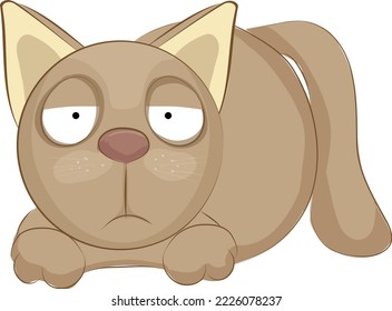 funny cat with big eyes