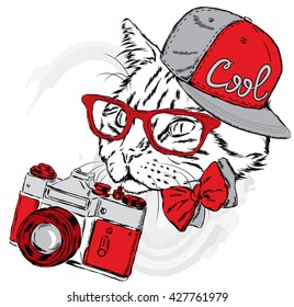 Funny cat in a cap and with a camera. Vector illustration. Print for cards, posters or odzhdy.