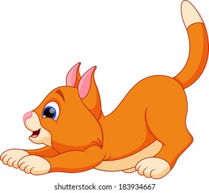 Funny cat cartoon