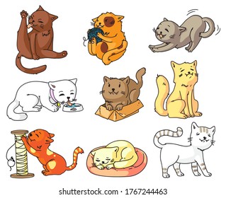 Funny cat. Funny cartoon cat character set isolated on white background. Cute sleeping, standing, walking, sitting, playing, dinking, stretching, sharpening claw. Domestic animal vector illustration