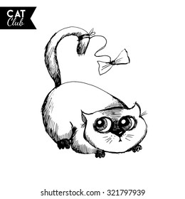 funny cat character