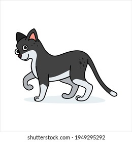 Funny cat character in cartoon style. Flat kid graphic. Isolated vector illustration.
