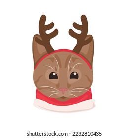 Funny cat in Christmas costume on white background