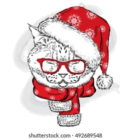 Funny cat in a Christmas hat and scarf. Vector illustration for a card or poster, print on clothes. New Year's and Christmas.