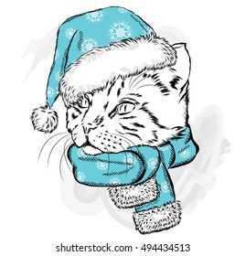 Funny cat in a Christmas hat and scarf. Vector illustration for a card or poster, print on clothes. New Year's and Christmas.