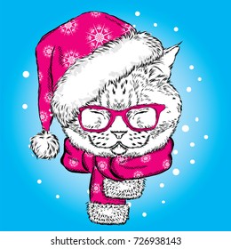 Funny cat in a Christmas hat and scarf. Vector illustration for card or poster, print on clothes. New Year's and Christmas.