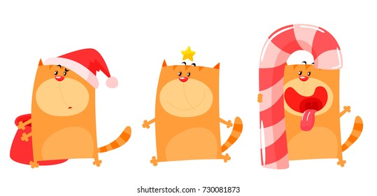 Funny Cat with Christmas hat, star and candy. Cartoon style vector illustration