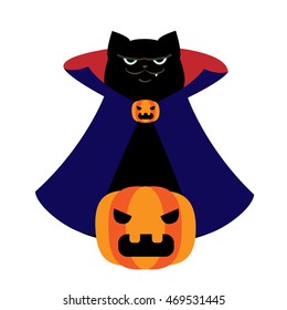 Funny cat in a cloak and a lantern pumpkin. Cute cartoon character. Vector illustration isolated on white background.

