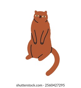 Funny cat in comic sitting pose. Cute feline in awkward mem position with waiting expression. Humor kitty. Adorable pet in seated posture. Flat vector illustration isolated on white background