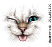 Funny Cat. Creative design. Color portrait of a smiling cat with blue eyes close-up on a white background. Digital vector graphics