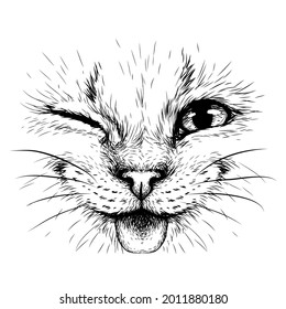 Funny Cat. Creative design. Graphic portrait of a smiles cat in close-up on a white background. Digital vector graphics.