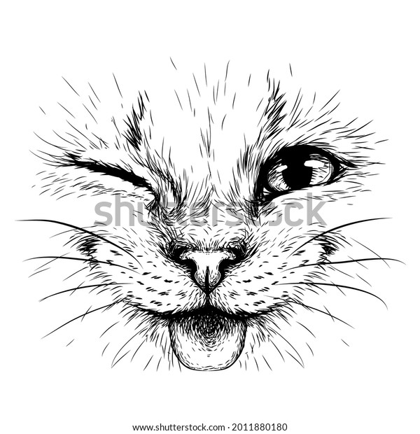 Funny Cat. Creative design. Graphic portrait of a smiles cat in close-up on a white background. Digital vector graphics. Black and white wall art. 
