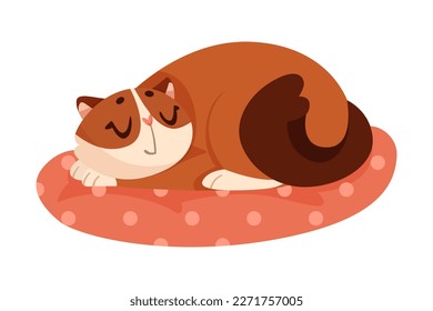 Funny Cat Cuddling on Pillow as Domestic Pet Vector Illustration