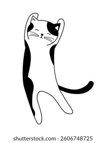Funny cat in dancing or stretching pose black and white vector illustration, isolated on white background. Cute kitten decorative element, sticker.