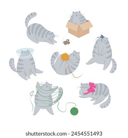 Funny cat with different objects and with various emotions. Cute striped grey. Cat behavior, body language and face expressions. Set of vector illustrations