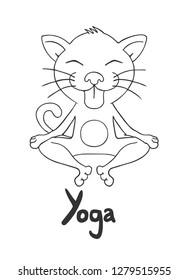 funny cat doing yoga