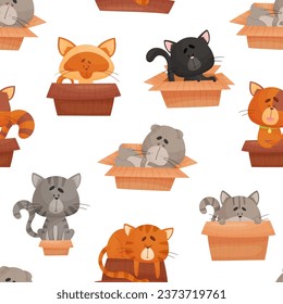 Funny Cat Domestic Pet Play with Cardboard Box Seamless Pattern Vector Template