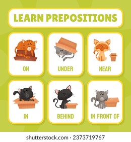 Funny Cat Domestic Pet Play with Cardboard Box as Preposition Learn Flashcards Vector Set