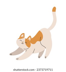 Funny Cat Domestic Pet with Pretty Snout Stretching Vector Illustration