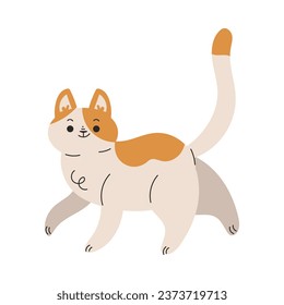 Funny Cat Domestic Pet with Pretty Snout Walking Vector Illustration