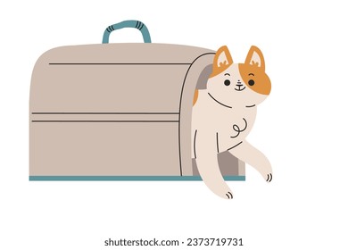 Funny Cat Domestic Pet with Pretty Snout Peep Out Bag Vector Illustration